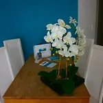 Thalacap Aparthotel